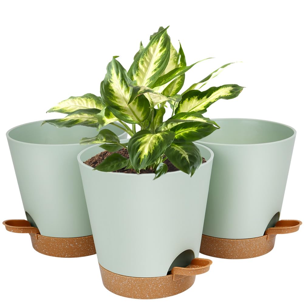 OFFCUP 3pcs Self Watering Plant Pots, 20cm Plastic With Drainage Holes, Saucers and Reservoir - Modern Indoor Decorative Planters (Green)