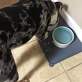 Emwel Silicone Dog Food Mat Non-Slip Waterproof 47x30 cm L view 7