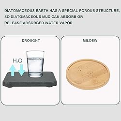 Soap Dishes, 4-Set Water Absorbent Diatomite Earth