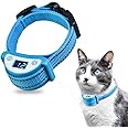 cat shock collar reddit