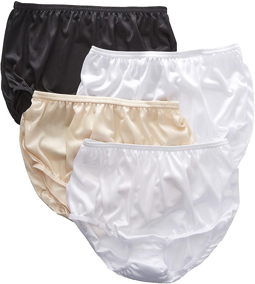 Teri Women's Full Cut Nylon Brief Panty - 4 Pack 331