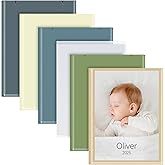 Vienrose Photo Album Bulk Set – Small Photo Album for 4x6 Pictures, 26 Pockets Holds 52 Photos, Postcard Album with Customizable Covers, Morandi Colors (Set of 6)