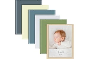 Vienrose Photo Album Bulk Set – Small Photo Album for 4x6 Pictures, 26 Pockets Holds 52 Photos, Postcard Album with Customizable Covers, Morandi Colors (Set of 6)