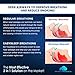 Stop Snoring With The Most Effective Snoring Solution - Anti Snoring Devices - 4 Sets of Comfort Fit Nasal Dilators and Premium Snore Stopper Chin Strap - Proven To Stop Snoring - UPGRADED VERSION