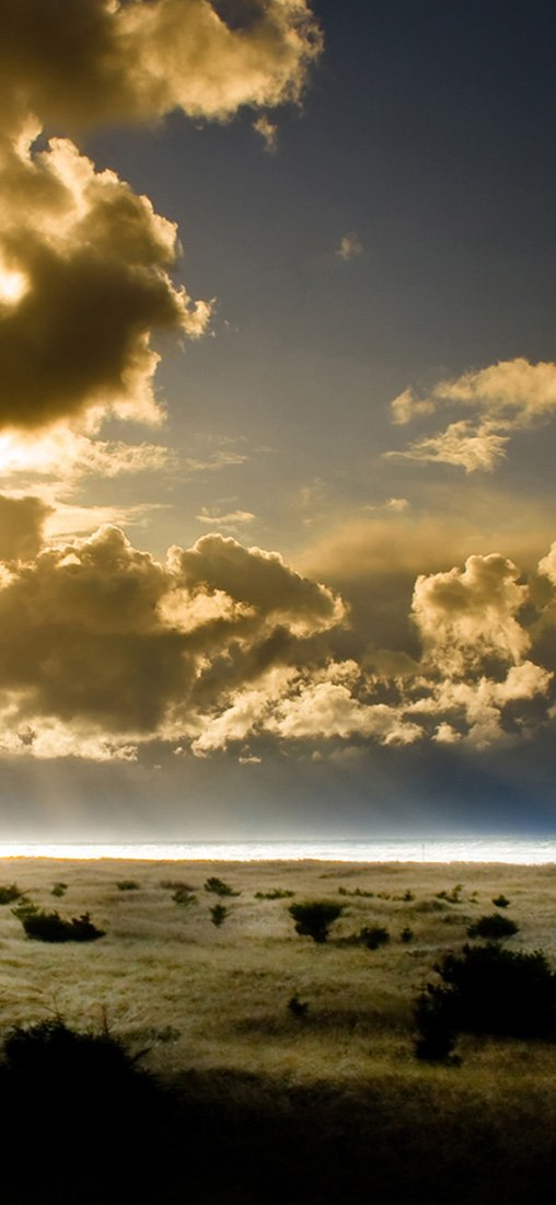 PeelitStickit, Beautiful Nature Wall Murals, ID-1820, vinyl