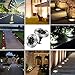 Solar Ground Lights - 8 LED Garden Lights Outdoor Waterproof Patio Lights for Lawn,Pathway,Yard,Driveway,Step and Walkway - 8 Pack White