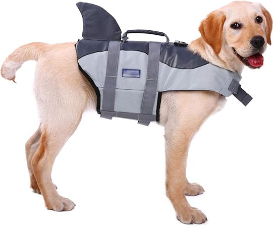 cute dog life jacket