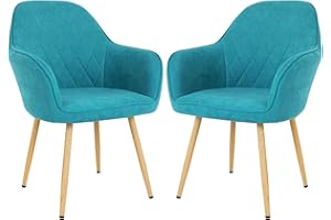 FDW Dining Chairs Accent Arm Chairs Kitchen Chair Metal Side Chairs Arm Side Chairs Set of 2 for Home Kitchen Bedroom Living 