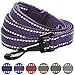 Blueberry Pet Essentials Durable 3M Reflective Classic Dog Leash 5 ft x 5/8