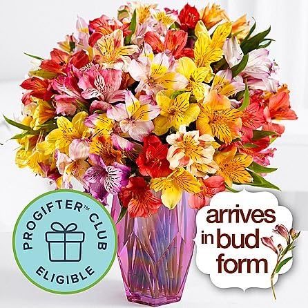 Birthday Kisses Flowers - Same Day Birthday Flowers Delivery - Online Birthday Gifts - Birthday Present Ideas - Happy Birthday Flowers - Birthday Party Ideas