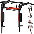BESTHLS Wall Mounted Pull Up Bar and Dip Station, Heavy Duty Wall Mount Pull-up Chin Up Bar Multifunctional Home Gym Workout Indoor Exercise Equipment Support to 440 Lbs