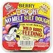 C&S Berry Delight No Melt Suet Dough 11.75 Ounces, 12 Pack