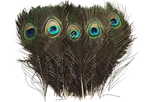 10 Pcs Natural Peacock Eye Feathers, Screen Green Tail Eye Feathers for DIY Craft, Costume, Bouquet, Wedding Holiday Party De