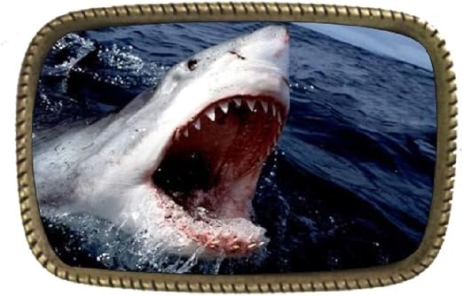 shark belt buckle