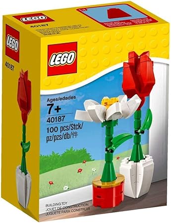 Amazon.com: LEGO Flower Display (40187 
