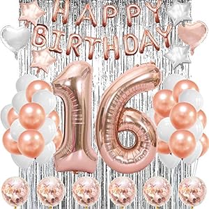 Sweet 16 Birthday Decorations