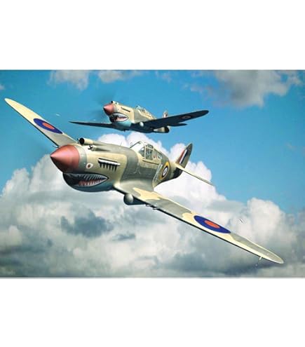 Amazon.com: Trumpeter 03227 1/32 US Army Air Corps P-40F