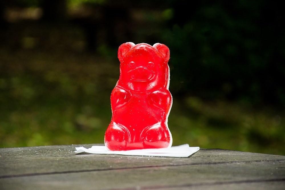 Jumbo Jelly Bear