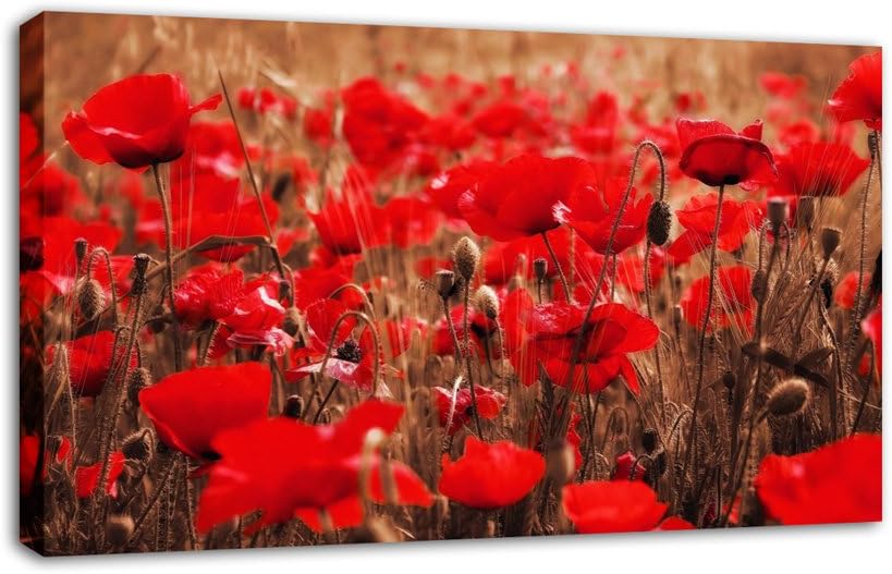 FloralStemLARGE RED POPPIES CANVAS ART PRINT mounted and ready to hang finished size 34 x 20 inches (86 x 52 cm)