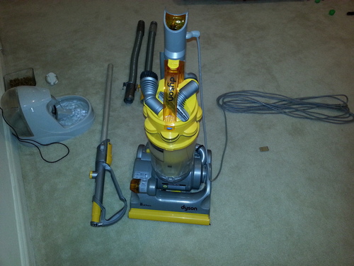 User photo