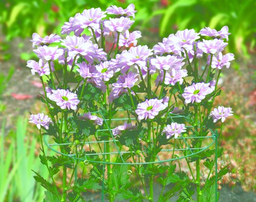 Bosmere 18" Plant Grid with Three 36" Legs, 2-Pack