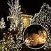 ECHTPower(TM) 21ft 30 LED Moon Solar String Christmas Lights with Sensor