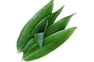 FIFIWER fresh banana leaves(100 pcs, 13"" L x 3.2"" W) ，Fresh Banana Leaves for Cooking ，bamboo leaves suit Sushi making, Zongzi, Chinese dinner, hot pot leaf decoration, Green