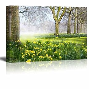 Beautiful Trees and Green Grass in a Park...
