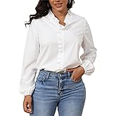 Ruffled Tops for Women V Neck Long Sleeve Shirt Comfort Business Casual Blouses Office Work Shirts