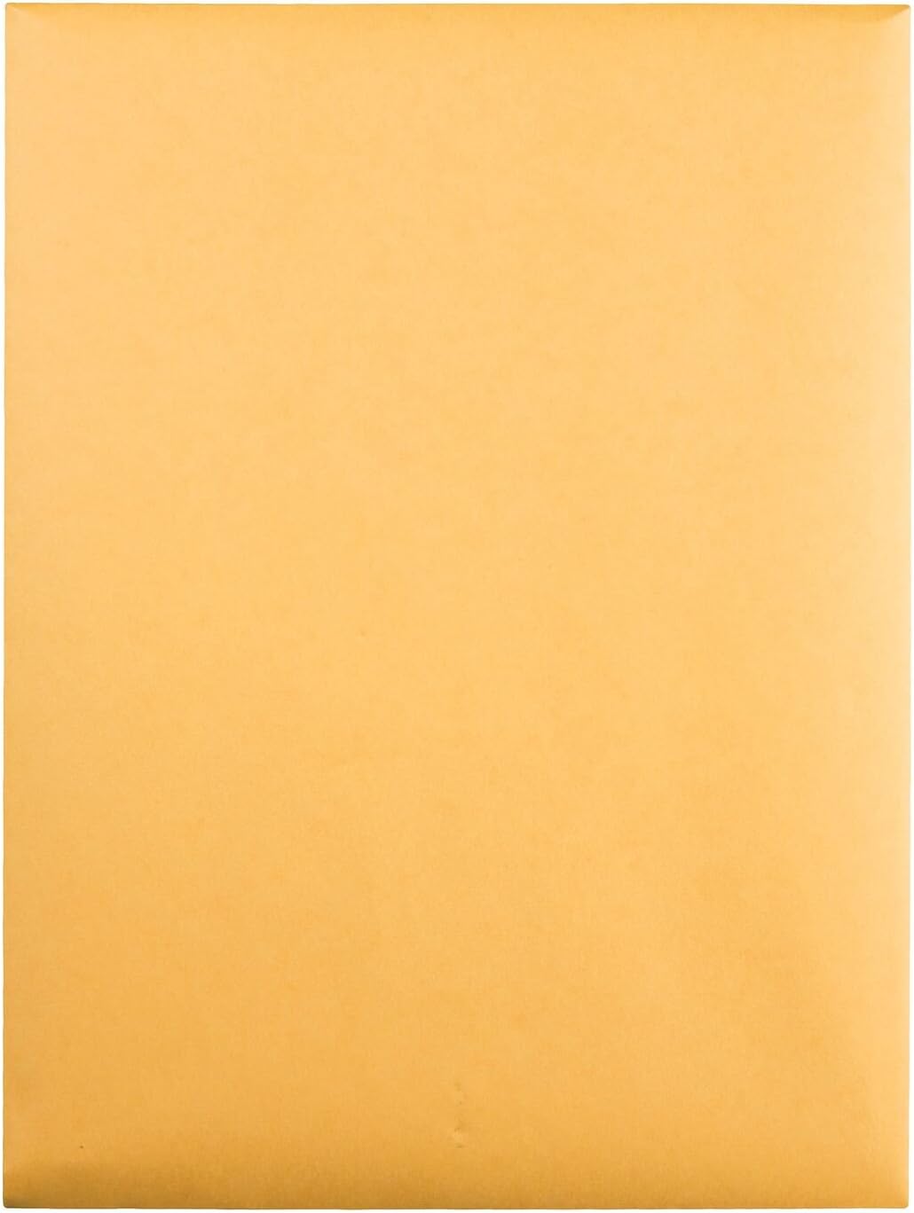 Quality Park 9 x 12 Clasp Envelopes with Deeply Gummed Flaps, Great for Filing, Storing or Mailing Documents, 28 lb Brown Kraft, 100 per Box (37890) : Office Products