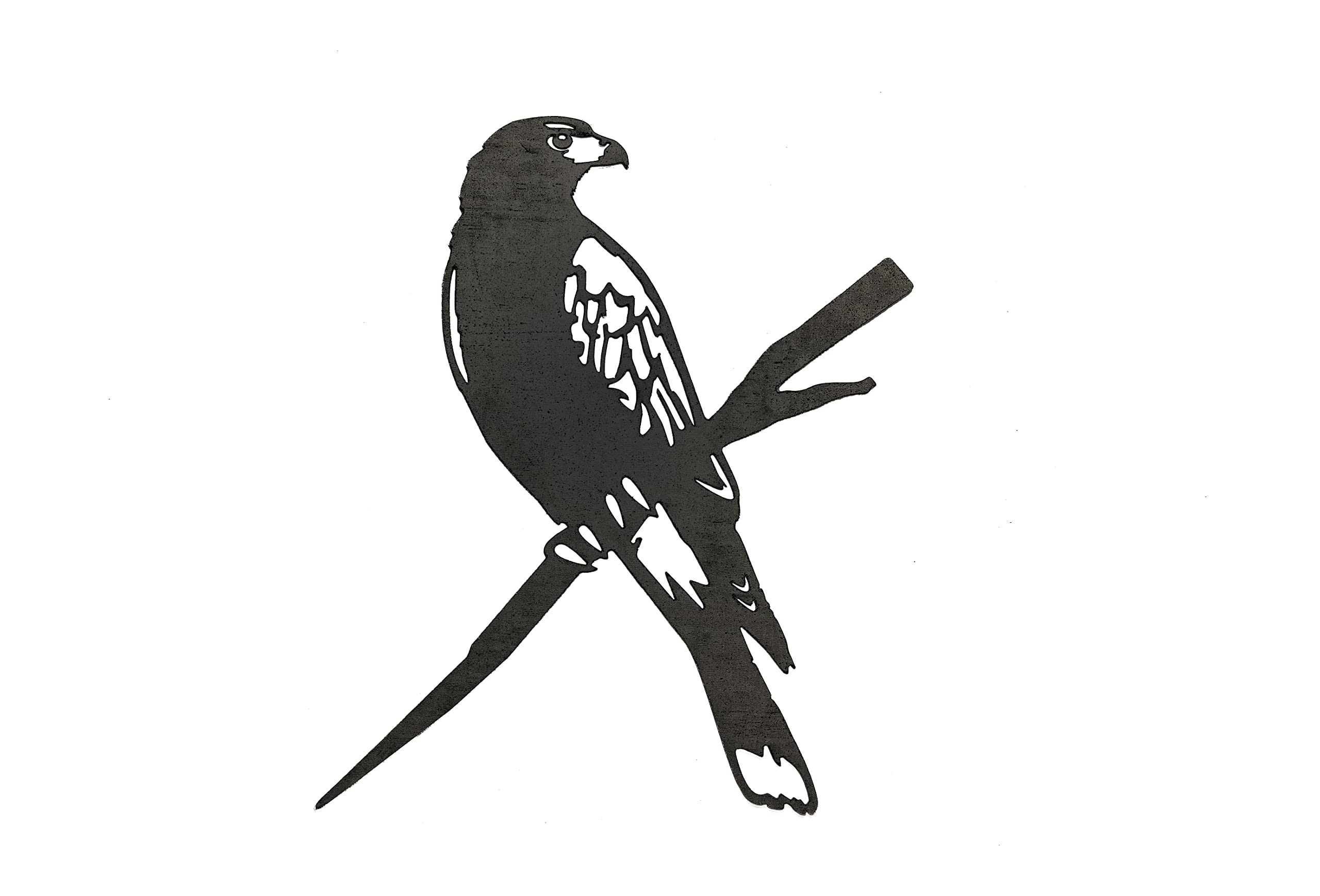 METALBIRD - Harris Hawk - Outdoor Garden Ornaments in Corten Steel - Metal Art Proudly Made in Britain