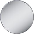 Zadro 20X Extreme Magnification Suction Cup Mirror, Gray