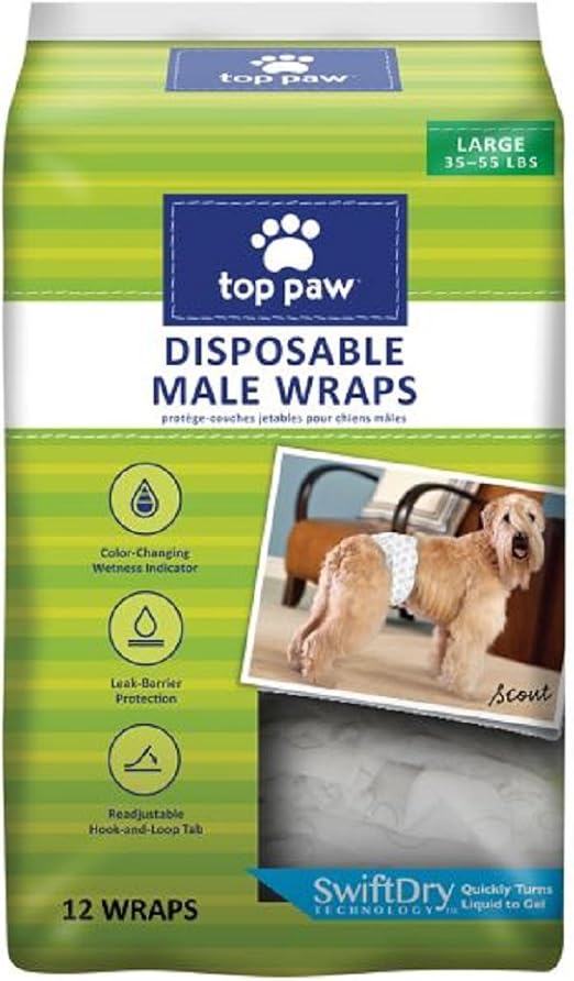 working retriever puppies