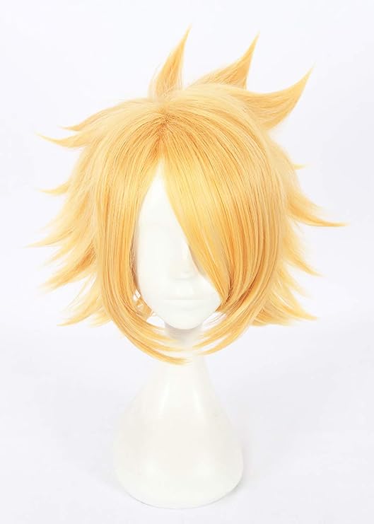 denki kaminari wig
