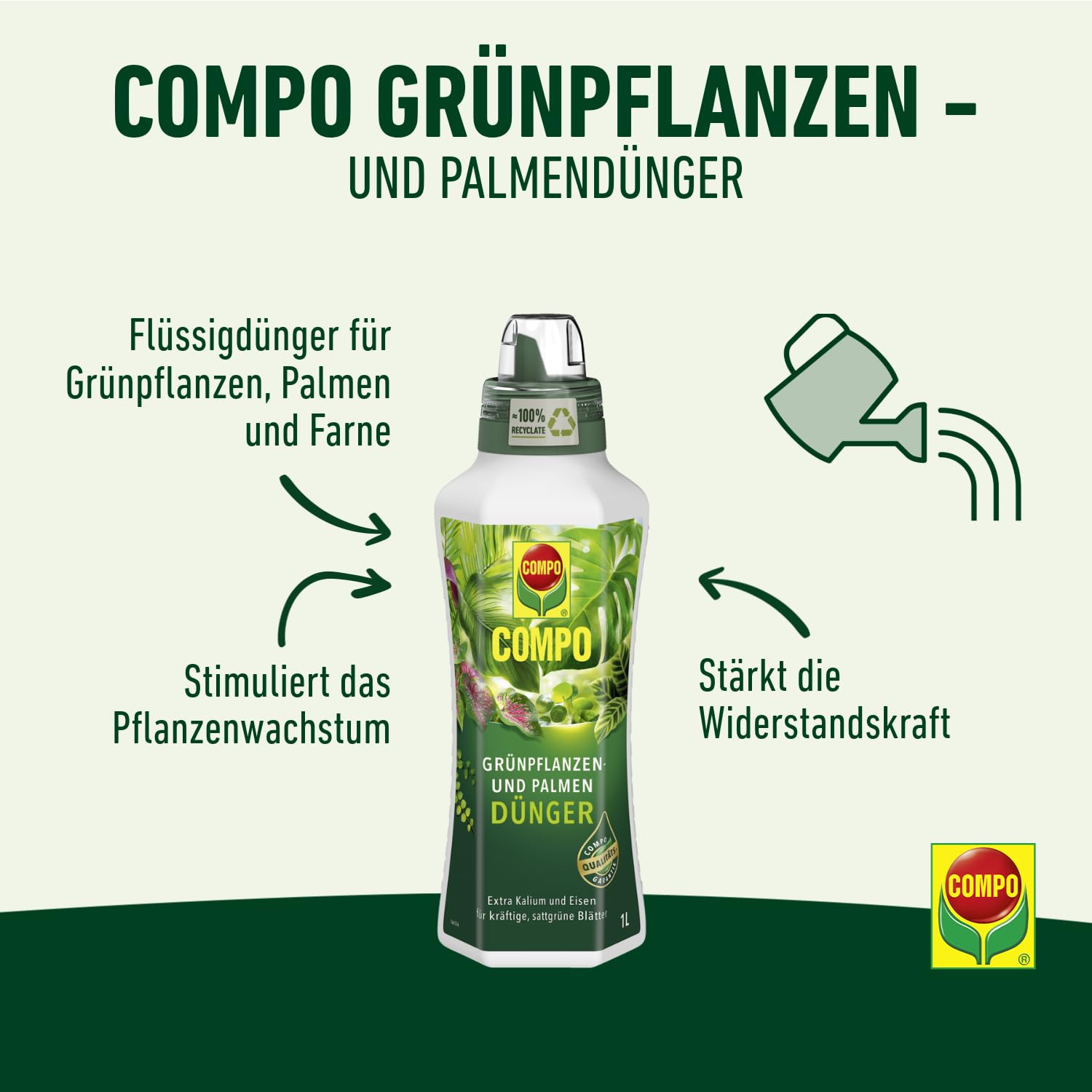 COMPO Grünpflanzendünger und Palmendünger – Spezial-Flüssigdünger für alle Zimmer-, Balkon- und Terrassenpflanzen – 1 Liter 2