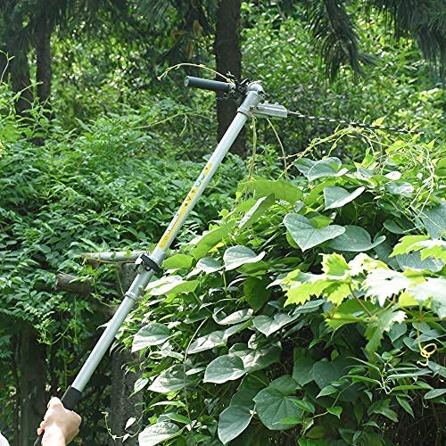 Gas Pole Saw 16 Feet Reach for Tree Trimming, MAXTRA Cordless Gas Pole