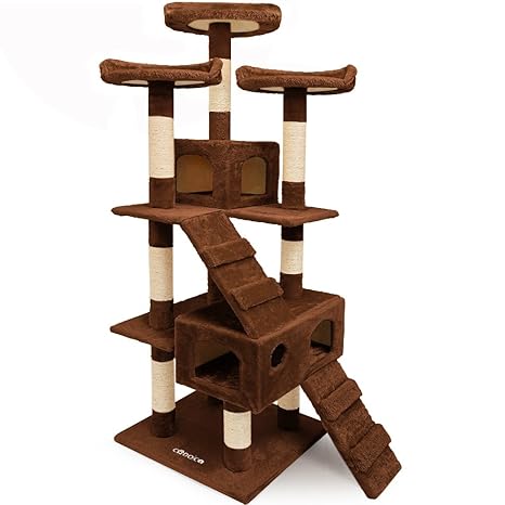 Escalera para gatos | Todo gatos