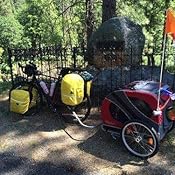 doggyride bike trailer