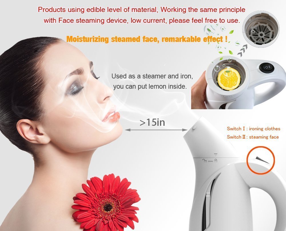 Tepoinn 2 in 1 Portatile Garment Steamers Mini Ferro da Stiro a Vapore150W / 400W 100-240V Viaggio Ferro Vestiti Vapore con due Bancarelle Serbatoio di Acqua 120ml Riscaldamento Rapido Funzione Vapore Verticale