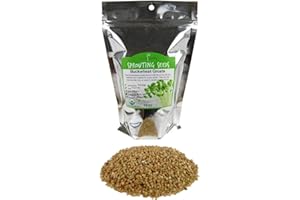 HANDY PANTRY Hulled Buckwheat Groats- 1 Lbs - Organic Buck Wheat Groats- Sprouting Seed, Gardening, Planting, Edible Seeds, Emergency Food Storage, Hydroponics