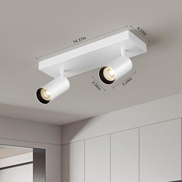 SPOTLIGHT INDOOR CEILING LED LIGHT,2 LIGHTS 40W MODERN SPOT LIGHT FIXTURES 4000K WHITE ACCENT 300°ADJUSTABLE PICTURE PAINTING FOR LIVING ROOM BEDROOM HALLWAY GALLERY FLUSH MOUNT DIRECTIONAL LIGHTING
