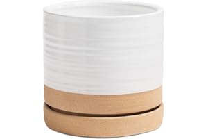 HERDUK 6 Inch Plant Pots, Ceramic Planter Pot with Drainage Hole & Saucer, Indoor/Outdoor Cylinder Round Planter Pot, White & Brown