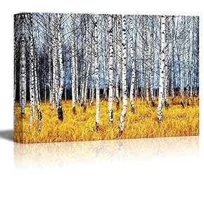 A Autumn Birch Grove Among Orange Grass Wall Decor