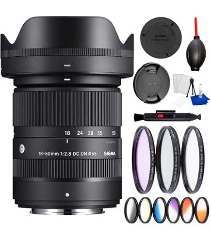 Amazon.com : 24mm F2 DG DN for L-Mount : Electronics