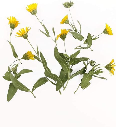 Amazon そらプリ ドライフラワー 花材 そらプリ 野の花ドライ カレンジュラ フユシラズ 8本 アソート お花 フロテックス ドライフラワー オンライン通販