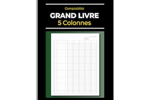 Comptabilité: Grand Livre 5 Colonnes: Comptes: Recettes & Dépenses - Revenus & Achats - Débits & Crédits - Entrées & Sorties 