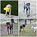 Large Puppy Dog Chew Toys 10 Value Pack , for Medium and Large Dogs - for Aggressive Chewers , 3 Dog Toys Natural Rubber (Dog Frisbee, Dog Toys Bone, Dog Ball) , 6 Dog Toys Rope, Youngever