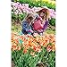 Bloem, Calypso Aqua Rite Watering Can, (AW21-27), 1/2 Gal. (56 oz)