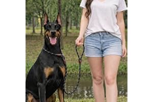 Reflective Slip Lead Dog Leash, Heavy Duty Rope No Pull Training Leash with Adjustable Loop for Medium & Large Dogs