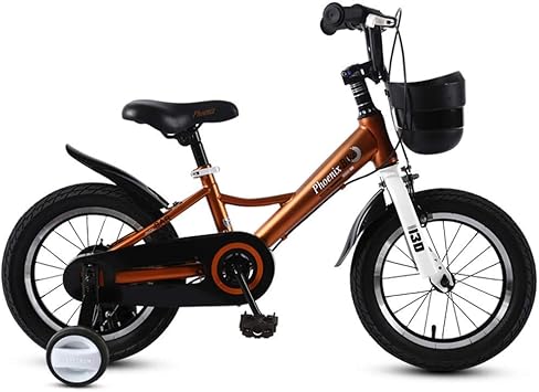 amazon old bike